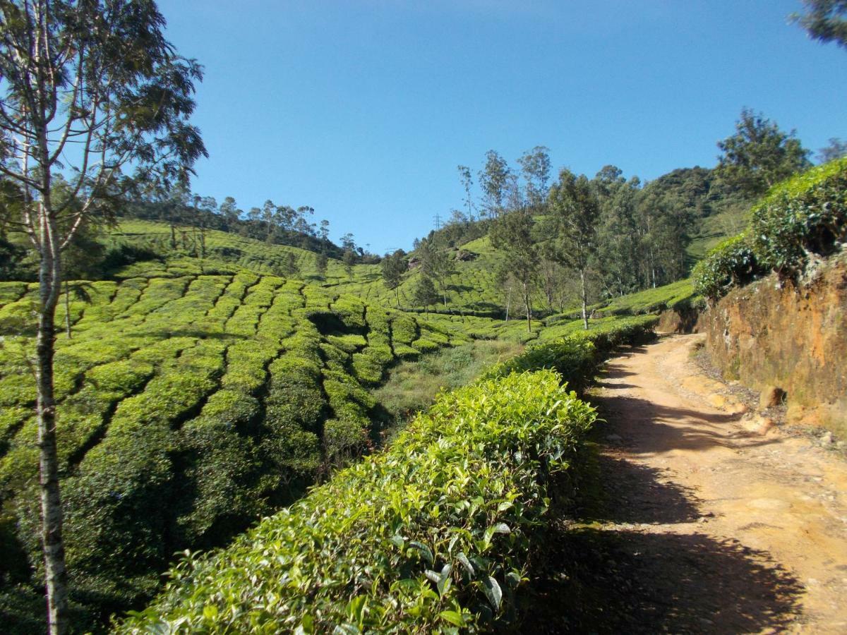 Greenview Holiday Inn Munnar Exterior foto